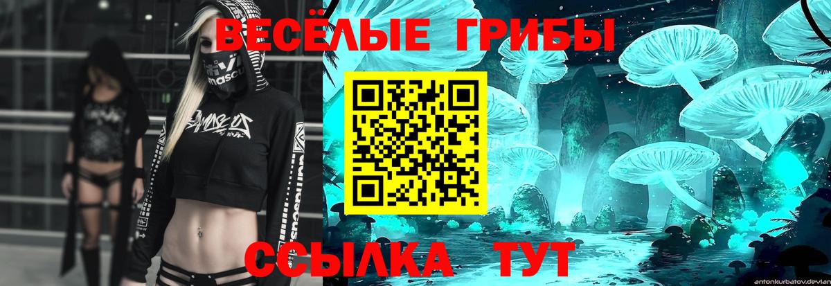 Псилоцибиновые грибы MAGIC MUSHROOMS  Вход с VPN  Нерюнгри 